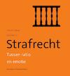 Strafrecht (e-Book) - Tineke Cleiren, Antoine Hol (ISBN 9789048516001)