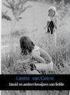 David en andere bewijzen van liefde (e-Book) - Lizette van Geene (ISBN 9789402112283)