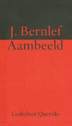 Aambeeld (e-Book)