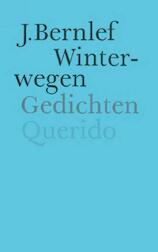 Winterwegen (e-Book)