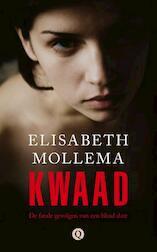 Kwaad (e-Book)