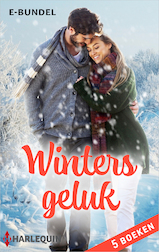Winters geluk (e-Book)