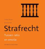 Strafrecht (e-Book)