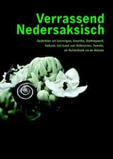 Verrassend Nedersaksisch (e-Book)
