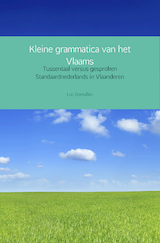 Kleine grammatica van het Vlaams (e-Book)