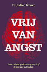 Vrij van angst (e-Book)