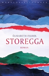 Storegga (e-Book)