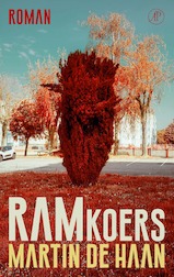 Ramkoers (e-Book)