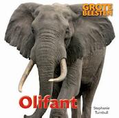 Olifant - Stephanie Turnbull (ISBN 9789461759955)