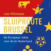 Sluiproute Brussel - Lise Witteman (ISBN 9789026358333)