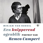 Een knipperend ogenblik - Mirjam van Hengel (ISBN 9789403128733)