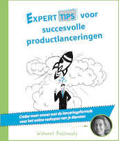 Experttips voor succesvolle productlanceringen - Welmoet Babeliowsky (ISBN 9789492383327)