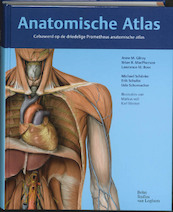 Anatomische Atlas Prometheus eendelige editie - A.M. Gilroy, B.R. MacPherson, L.M. Ross (ISBN 9789031353187)
