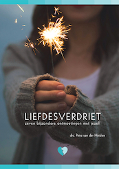 Liefdesverdriet - Petra van der Heiden (ISBN 9789082557237)