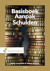 Basisboek Aanpak Schulden - Nadja Jungmann, Tamara Madern (ISBN 9789001875664)