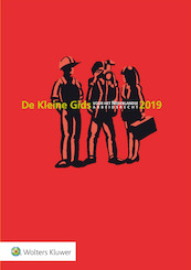 De Kleine Gids voor het Nederlandse Arbeidsrecht 2019 - Mark Diebels (ISBN 9789013151916)