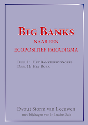 Big Banks - Ewout Storm van Leeuwen (ISBN 9789492079404)