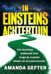 In Einsteins achtertuin - Amanda Gefter (ISBN 9789491845215)