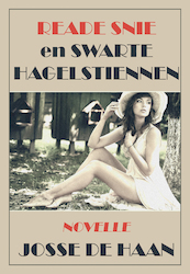Reade snie en swarte hagelstiennen - Josse de Haan (ISBN 9789089548979)