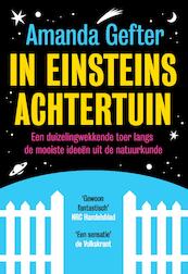 In Einsteins achtertuin - Amanda Gefter (ISBN 9789491845314)