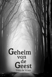 Geheim van de Geest - Titia de Vries (ISBN 9789493210141)