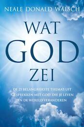 Wat God zei - Neale Donald Walsch (ISBN 9789000338788)