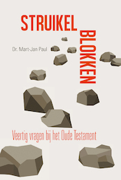 Struikelblokken - M.J. Paul (ISBN 9789087183103)