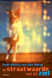 De straatwaarde van de ziel - Roel Bentz van den Berg (ISBN 9789025459857)