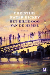 Het kille oog van de hemel - Christine Dwyer Hickey (ISBN 9789460684548)