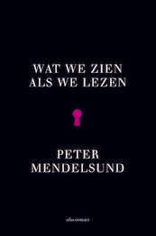 Wat we zien als we lezen - Peter Mendelsund (ISBN 9789025446314)