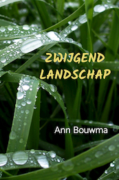 Zwijgend Landschap - Ann Bouwma (ISBN 9789464189919)