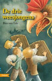 De drie weesjongens - Bies van Ede (ISBN 9789027669049)