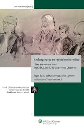 Rechtspleging en rechtsbescherming - Roger Baas, Tetty Havinga, Miek Laemers, Hans den Tonkelaar (ISBN 9789013130881)