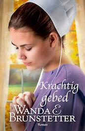 Krachtig gebed - Wanda E. Brunstetter (ISBN 9789088653353)