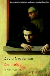 Zie: liefde - David Grossman (ISBN 9789059366336)