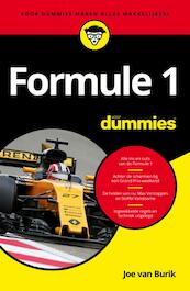 Formule 1 voor dummies - Joe van Burik (ISBN 9789045353807)
