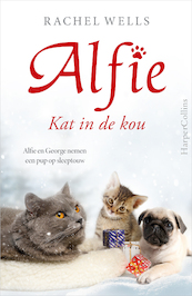 Kat in de kou - Rachel Wells (ISBN 9789402708844)