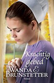 Krachtig gebed - Wanda E. Brunstetter (ISBN 9789088653360)