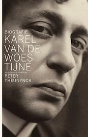 Biografie Karel Van de Woestijne - Peter Theunynck (ISBN 9789460424038)
