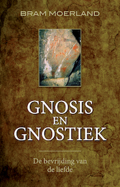Gnosis en gnostiek - Bram Moerland (ISBN 9789020210804)