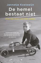 De hemel bestaat niet - Jannetje Koelewijn (ISBN 9789045025094)