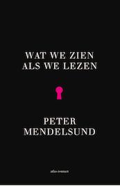 Wat we zien als we lezen - Peter Mendelsund (ISBN 9789025445676)