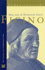 Ficino, brug naar de Hermetische Gnosis - P.F.W. Huijs (ISBN 9789067326452)