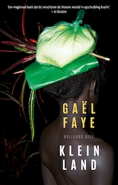 Klein land - Gaël Faye (ISBN 9789048843749)