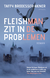 Fleishman zit in de problemen - Taffy Brodesser-Akner (ISBN 9789044643732)