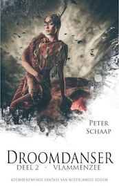 Vlammenzee - Peter Schaap (ISBN 9789463083577)