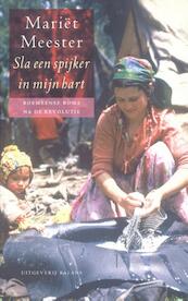 Sla een spijker in mijn hart - Mariët Meester (ISBN 9789460035425)