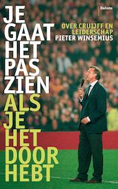 Je gaat het pas zien als je het doorhebt / Midprice - Pieter Winsemius (ISBN 9789460030956)