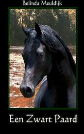 Een zwart paard - Belinda Meuldijk (ISBN 9789402102093)