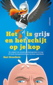 Het is grijs en het schijt op je kop - Bart Groothuis (ISBN 9789461262561)